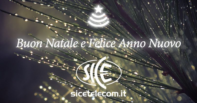 BUONE FESTE SICE 2019