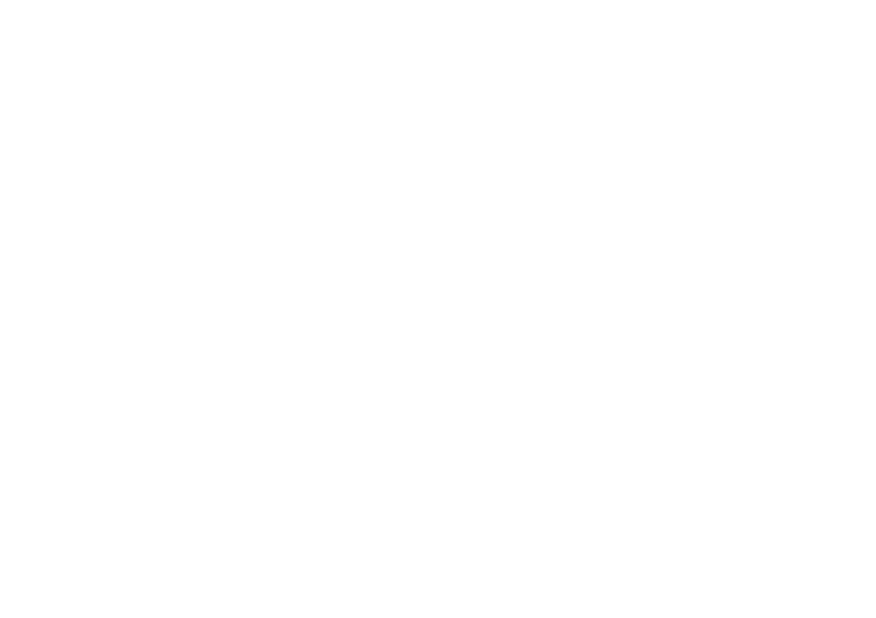 LOGO_SICE_2010_Grande_Bianco.png
